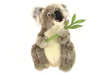 KOALA Plišasta 30 cm
