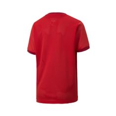 Puma Majice obutev za trening rdeča XXL Teamgoal 23 Jersey
