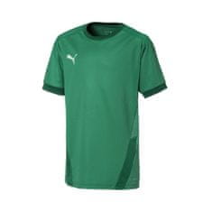 Puma Majice obutev za trening zelena L Teamgoal 23 Jersey