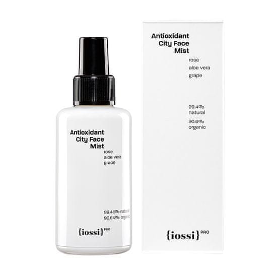 shumee Antioksidant City Face Mist 100 ml
