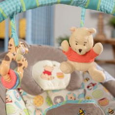 Bright Starts Winnie the Pooh Dots &amp; Hunny Vibracijski ležalnik 0 m +, do 9 kg