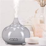 SIXTOL Aroma difuzor Palm siva sijaj 500 ml