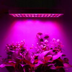 Malatec 225 LED UV panel za rast rastlin 36W