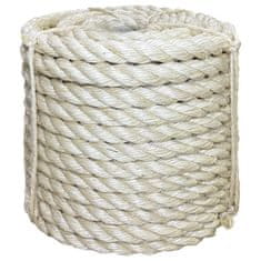 Vidaxl Vrv iz 100 % sisala 20 mm 25 m