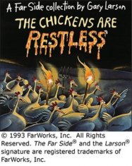 Chickens are Restless