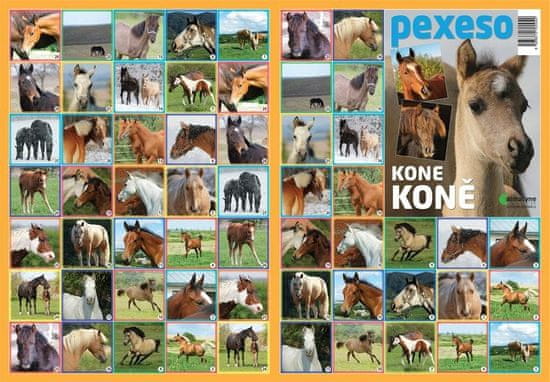 Pexeso - Konji