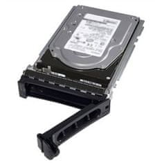 600 GB trdi disk SAS ISE 12 Gb/s 10k 512n 2,5in s 3,5in HYB CARR Hot-Plug CUS Kit