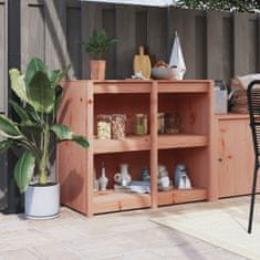 Vidaxl Zunanja kuhinjska omarica 106x55x92 cm trden les douglas jelke