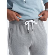 OMBRE Moške športne hlače V3 OM-PABS-0155 sive barve MDN123839 S