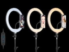 Tracer ring light 30cm s stativom 210cm - odprodaja