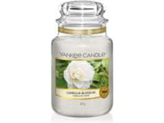 Yankee Candle Classic Dišeča sveča v steklu Camellia Blossom 623 g