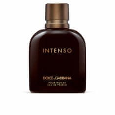 Dolce & Gabbana Moški parfum Dolce & Gabbana EDP 200 ml Intenso