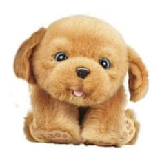 Famosa Interaktiven Hišni Ljubljenček Little Live Pets Sleepy Puppy Famosa 700013210