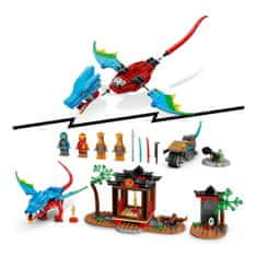 LEGO Playset Lego Ninjago Ninja Dragon Temple 161 Kosi 71759