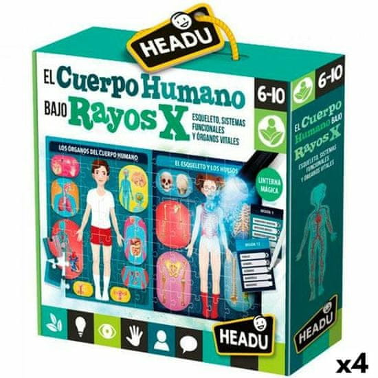 Headu Izobraževalni komplet za otroke HEADU El cuerpo humano Rayos X (4 kosov)