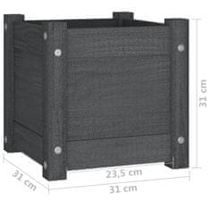 Vidaxl Vrtno cvetlično korito sivo 31x31x31 cm trdna borovina