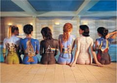 Aquarius Puzzles Puzzle Pink Floyd: Back Art 1000 kosov