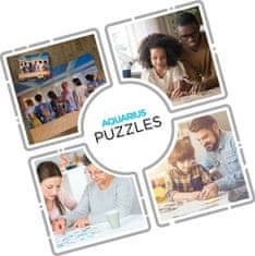 Aquarius Puzzles Puzzle Pink Floyd: Back Art 1000 kosov