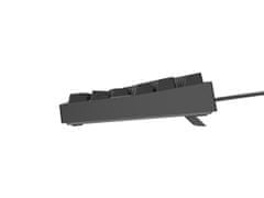 Genesis Gaming mehanska tipkovnica THOR 404/RGB/Khail Box Brown/Wired USB/US layout/Black