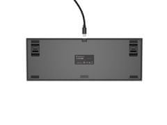 Genesis Gaming mehanska tipkovnica THOR 404/RGB/Gateron Yellow Pro/žična USB/US postavitev/črna