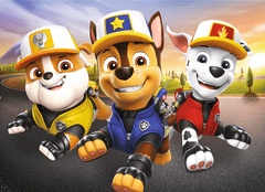 Trefl Display Puzzle Paw Patrol: (24 kosov): Pasji junaki 20 kosov (24 kosov)