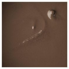 AFFECT Pomada za obrvi - Eyebrow Pomade Waterproof - Medium