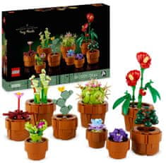 Botanicals 10329 Miniaturne rastline