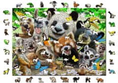 Wooden city Lesena sestavljanka Bear Paradise 2v1, 1010 kosov ECO