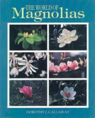 World of Magnolias