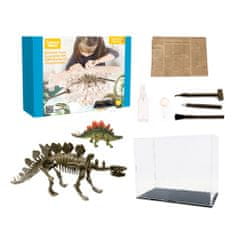 Aga4Kids Komplet za male paleontologe Stegosaurus