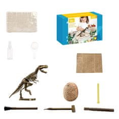 Aga4Kids Komplet za male paleontologe T-Rex