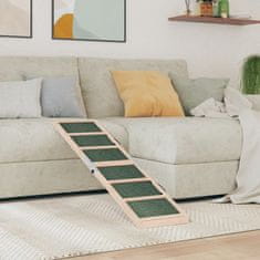 Vidaxl Rampa za pse zelena 120x30 cm trden les jelke