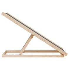 Vidaxl Rampa za pse siva 100x40 cm trden les jelke