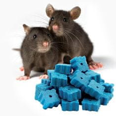 Vebi Istituto Bio Past za miši in podgane N2 Podganca
