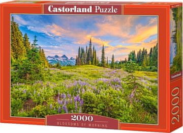 Castorland Puzzle Jutranji cvetovi 2000 kosov