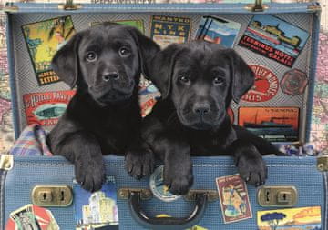 Dino Puzzle Kužki v kovčku 500 kosov