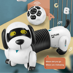 Lean-toys Robotski pes DOGGY, jazbečar, otroška igrača, daljinski upravljalnik + spremljanje