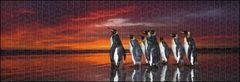 Heye Panoramska sestavljanka Kraljevi pingvini 1000 kosov