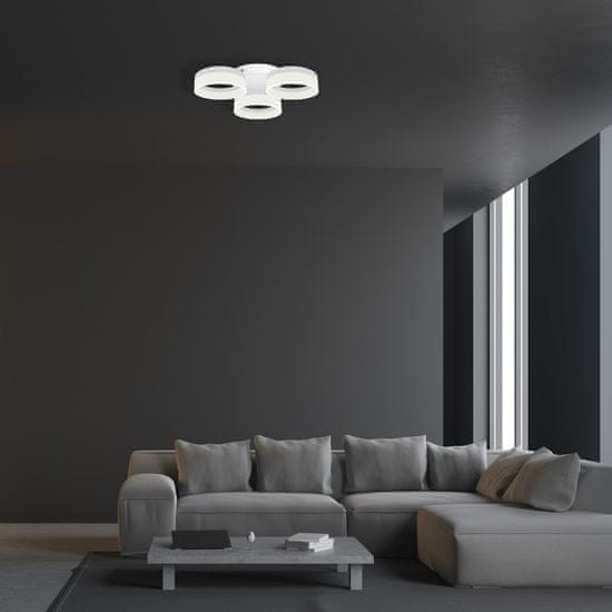 Milagro Stropna svetilka RING ML166 36W LED