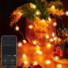 Family Christmas Pametni svetlobni niz bluetooth - snežinke USB 20 RGBIC LED 2m