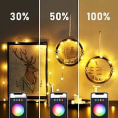 Family Christmas Pametni svetlobni niz bluetooth - zvezdice USB 20 RGBIC LED 2m