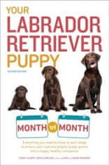 Your Labrador Retriever Puppy Month by Month