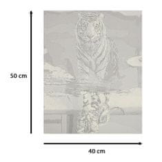 slomart Slikarstvo po številkah 50x40cm mačka in tiger