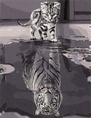 slomart Slikarstvo po številkah 50x40cm mačka in tiger