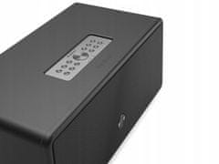 Audio Pro Prenosni zvočnik D-1 Black