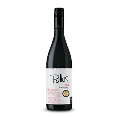 ptujska-klet Vino Modri pinot Pullus Ptujska Klet 0,75 l