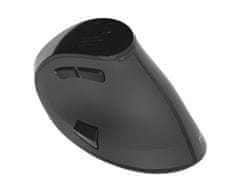 Natec Euphonie vertikalna brezžična miška, 2400DPI, Bluetooth, za desničarje (MOUSE-NAT-EUPHONIE)