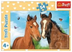 Trefl Puzzle Ljubke živali: par konjev 54 kosov