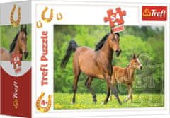 Trefl Puzzle Svet konjev: kobila in žrebeta 54 kosov
