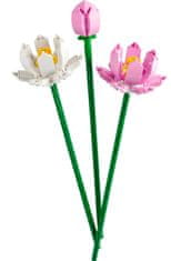 LEGO Botanicals 40647 Lotosovi cvetovi